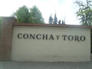 Tour Viña Concha y Toro
